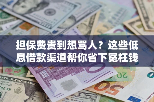 济南担保费贵到想骂人？这些低息借款渠道帮你省下冤枉钱