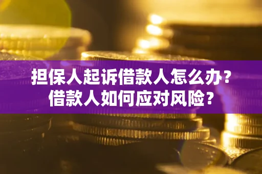 济南担保人起诉借款人怎么办？借款人如何应对风险？