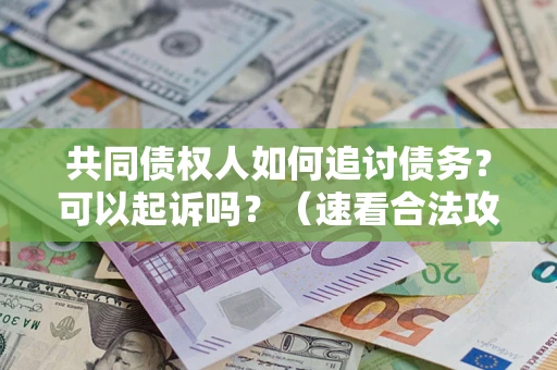 济南共同债权人如何追讨债务？可以起诉吗？（速看合法攻略）